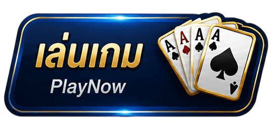 เล่นเกม