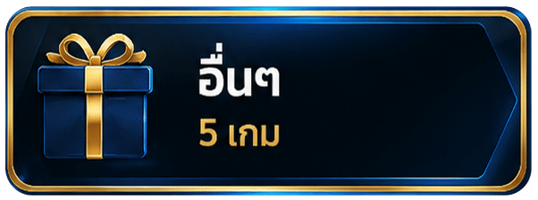 อื่น ๆ