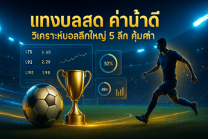 แทงบอลสด ค่าน้ำดี